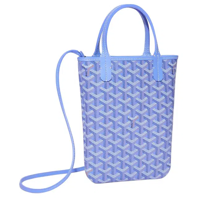 GOYARD SAC POITIERS PM Tote