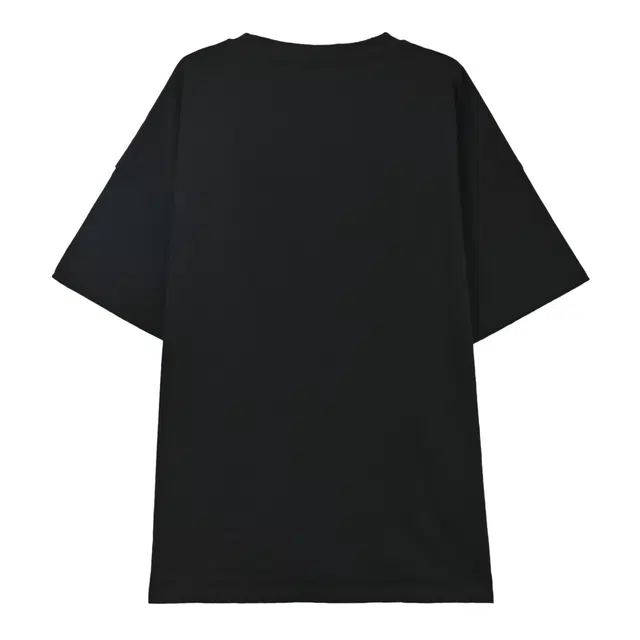 SNBL T