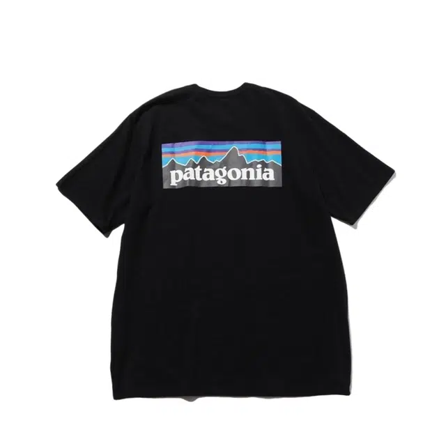 patagonia T