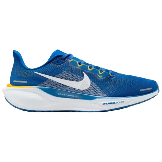 Nike Air Zoom Pegasus 41