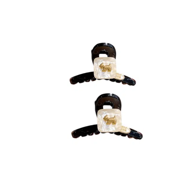 ZWU 2025
