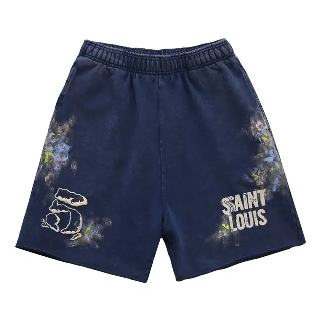 SSSAINT LOUIS