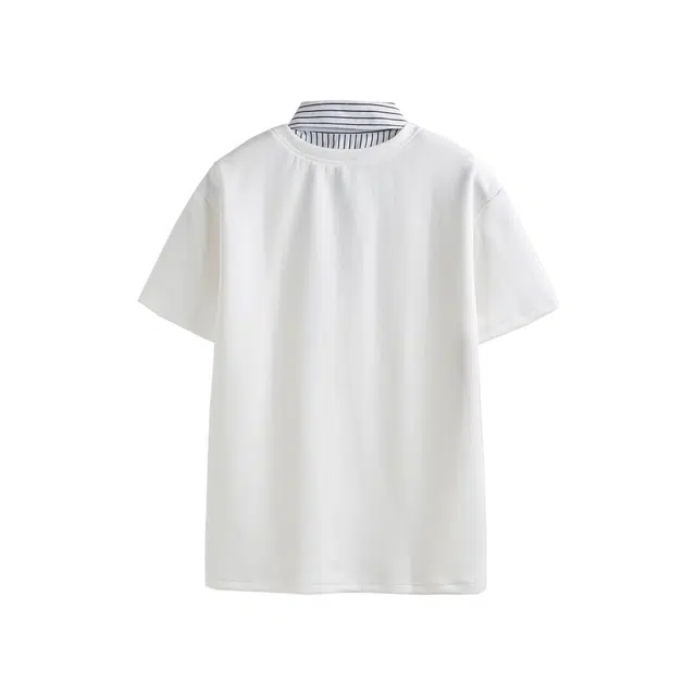 PAINT STAIN Polo