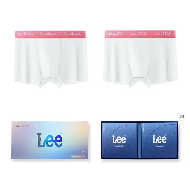 Lee 10A 2