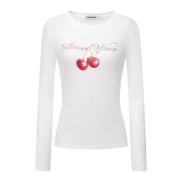 CLIMAX VISION logo T