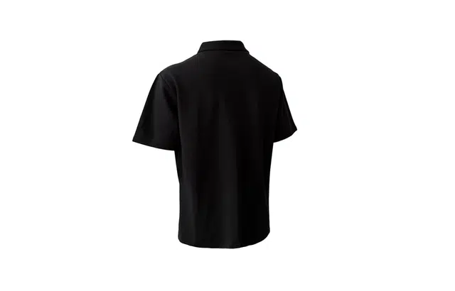 PAEFA LogoPolo