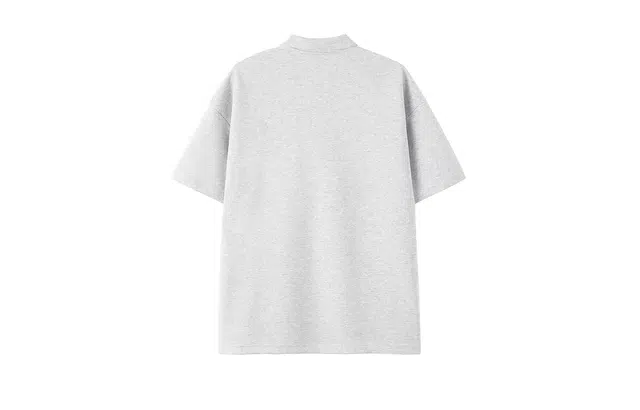 PAEFA LogoPolo