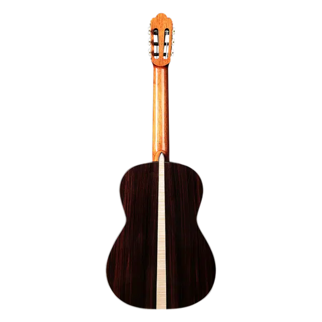 Natasha T65C T65S