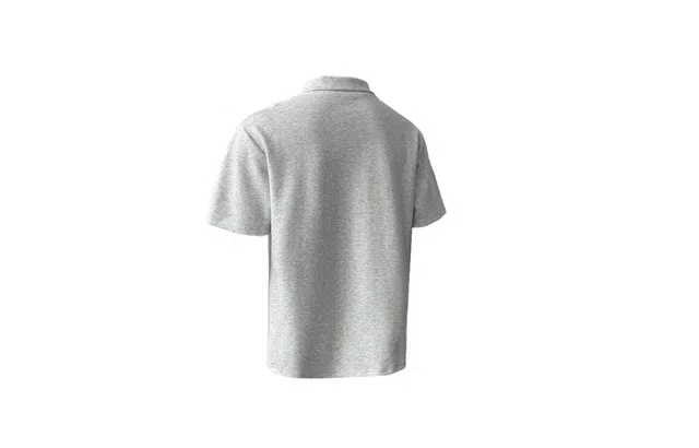 PAEFA LogoPolo