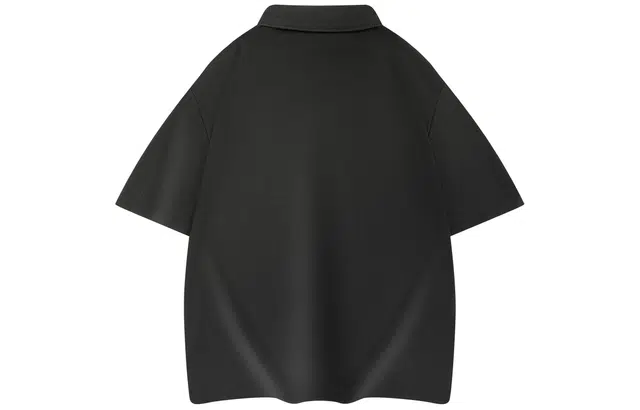 Picca LOGOPolo