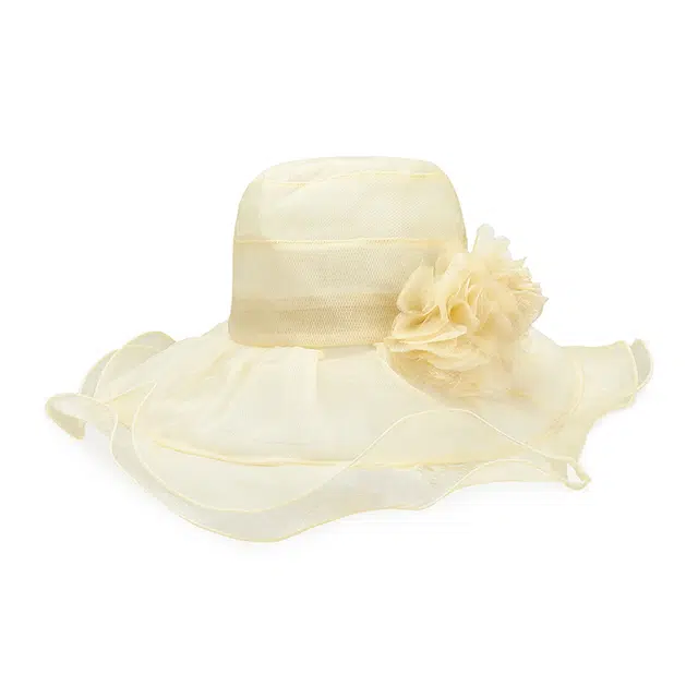 PIERRE CARDIN