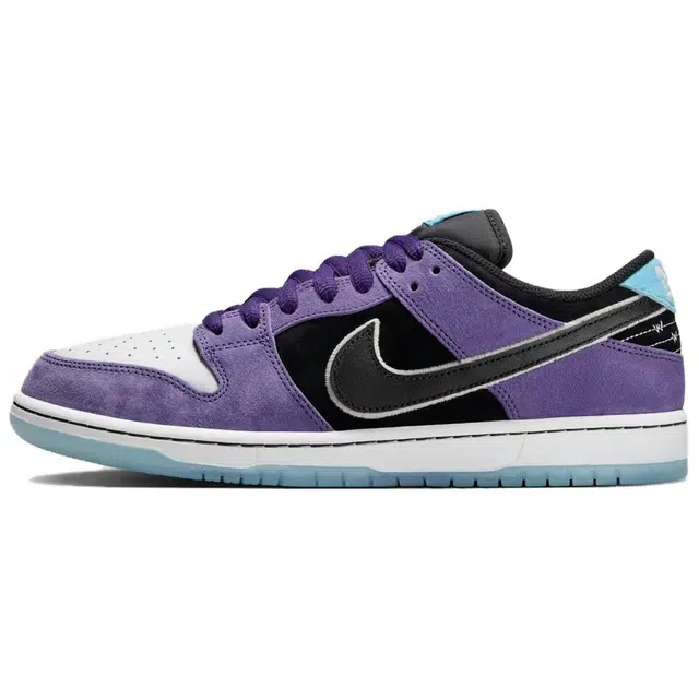 Hayley Wilson x Nike SB DUNK LOW PRO