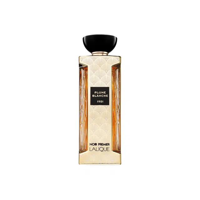 EDP 100ml