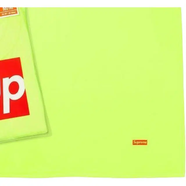 Supreme SS23 Week 1 x HANES TAGLESS T-SHIRTS (2 PACK) box logoT 2