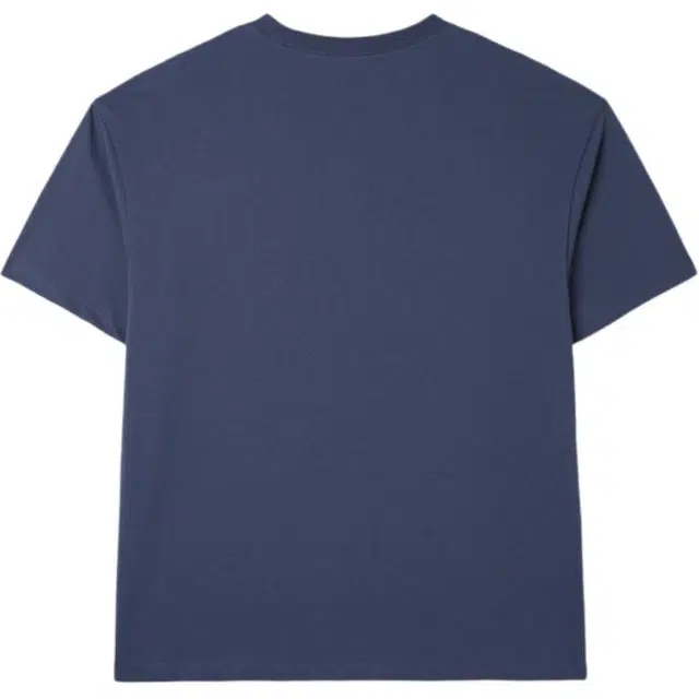 GUESS T