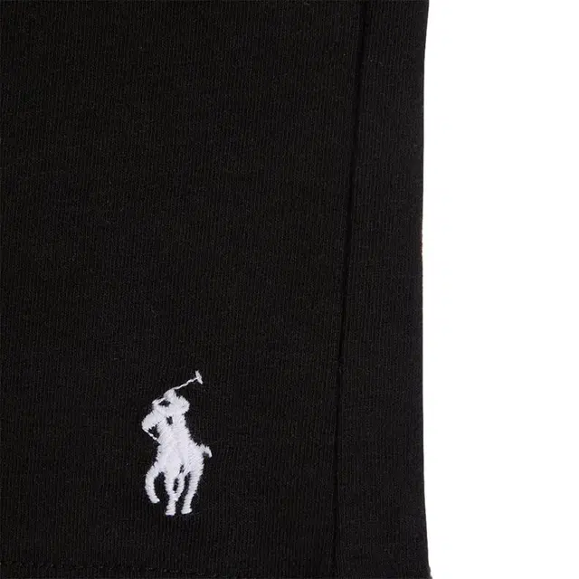 Polo Ralph LaurenT SS25Logo