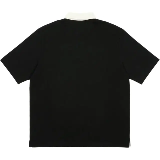 PALACE LogoPolo