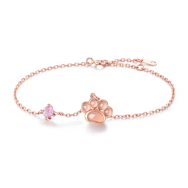 CAREBEARS S925