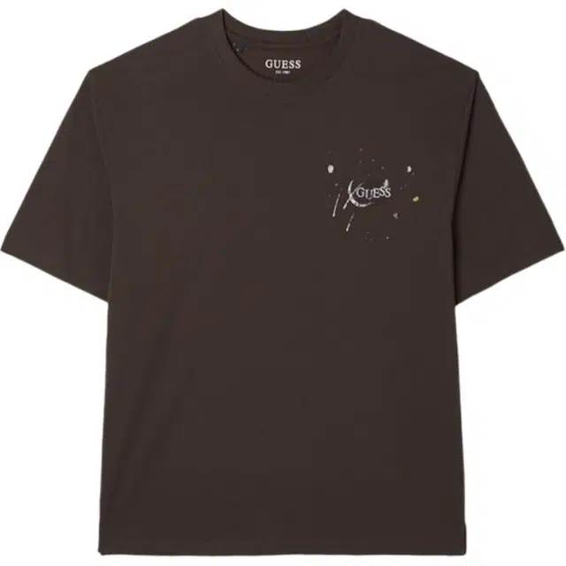 GUESS T