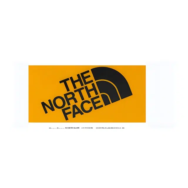 THE NORTH FACE Base Camp 22.14L Logo