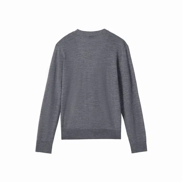 GANT V