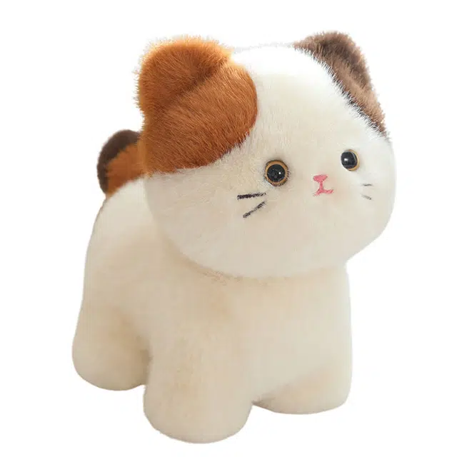 X2HOMME 20cm30cm