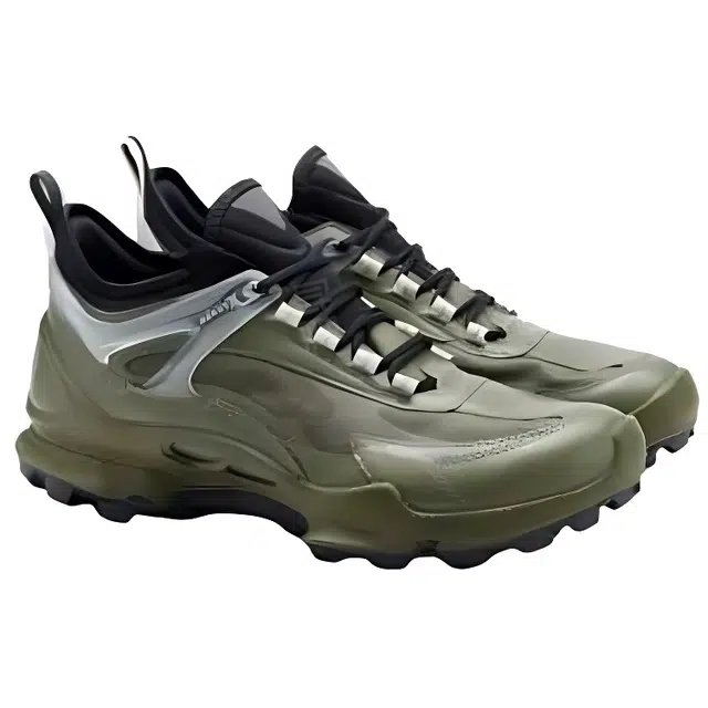 ecco Biom C Trail