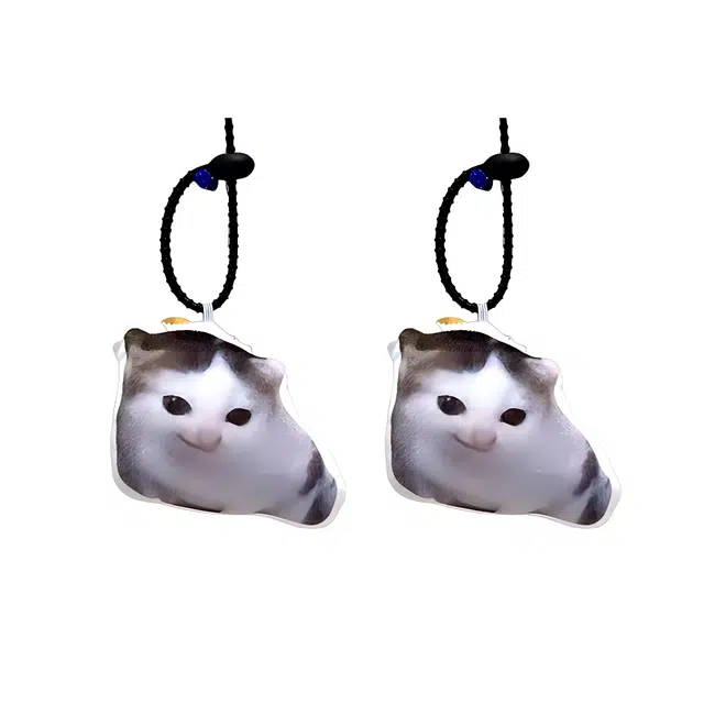 PP
