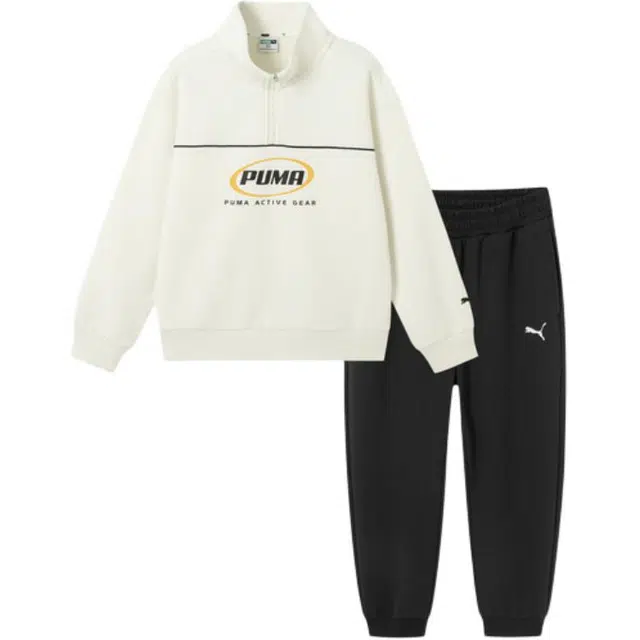 PUMA 2
