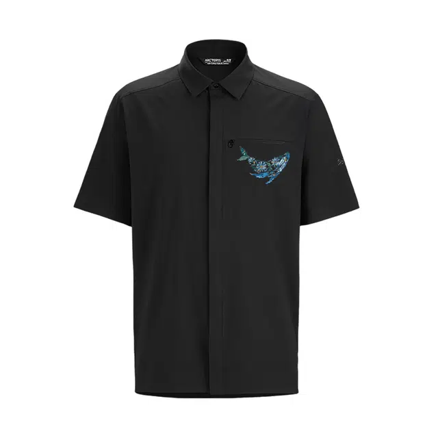 Arcteryx SKYLINE logo