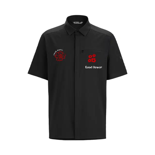Arcteryx SKYLINE logo