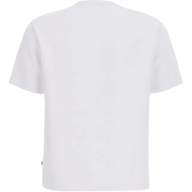 GUESS T