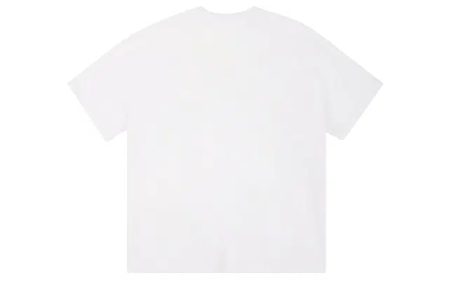 ICONS Lab T