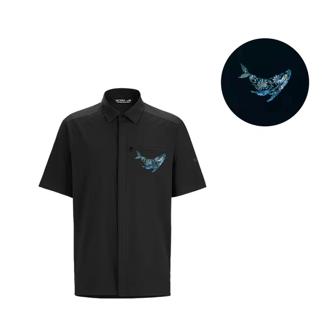 Arcteryx SKYLINE logo