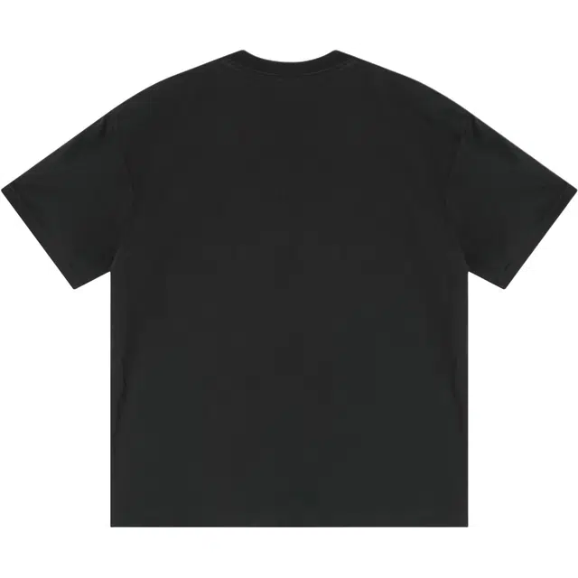 INS logo230teeT