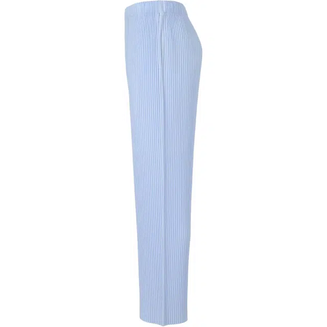 Homme Pliss Issey Miyake