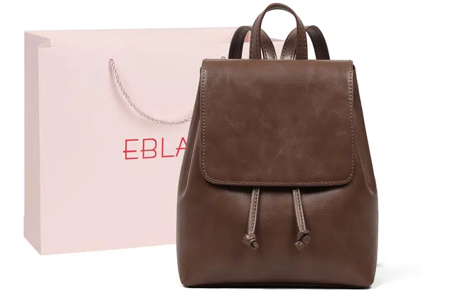 EBLAN ins