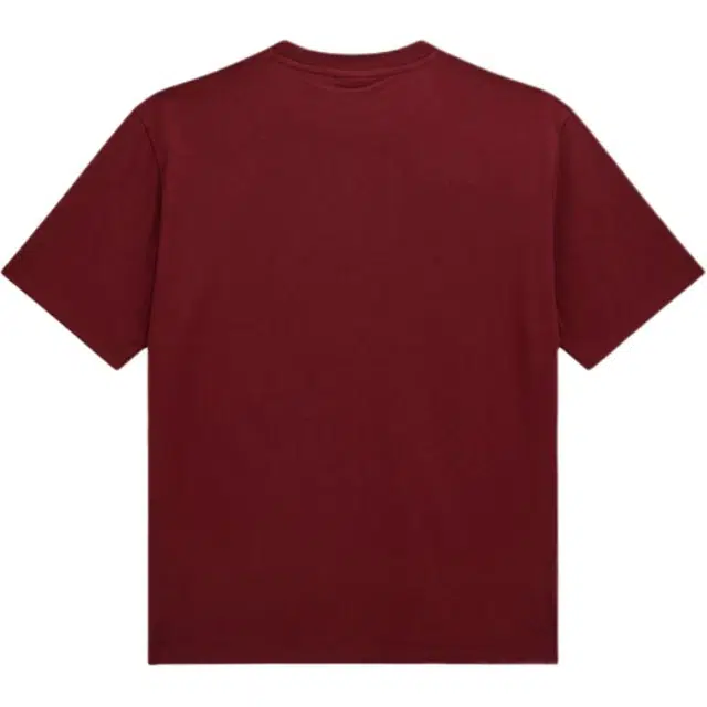 GUESS T
