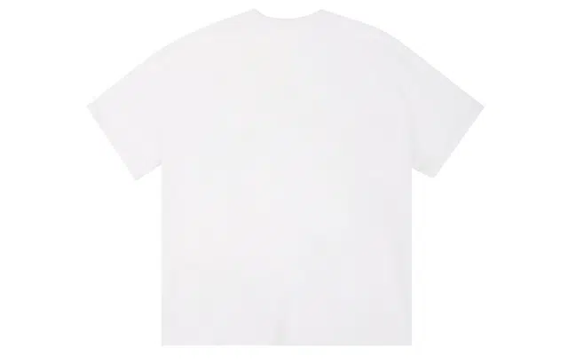 ICONS Lab T