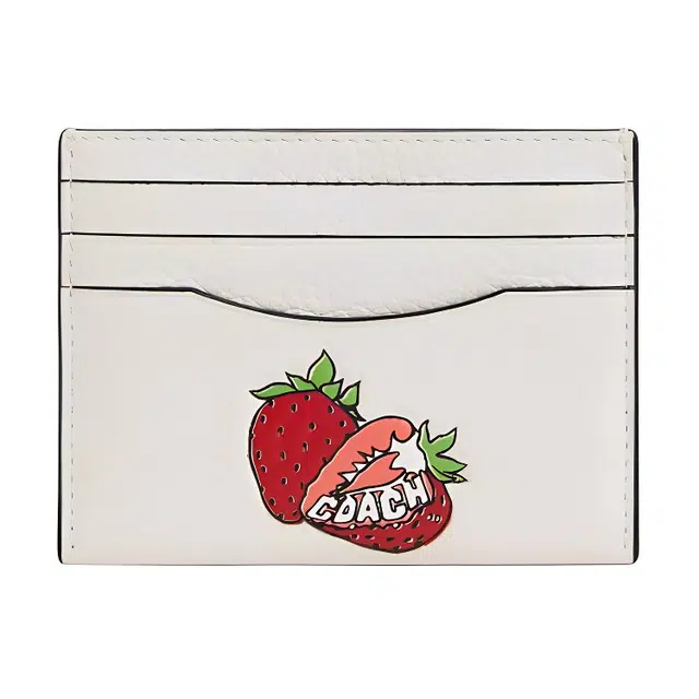 COACH Card Case 10