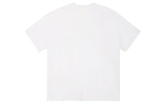 ICONS Lab T