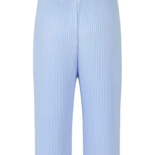 Homme Pliss Issey Miyake