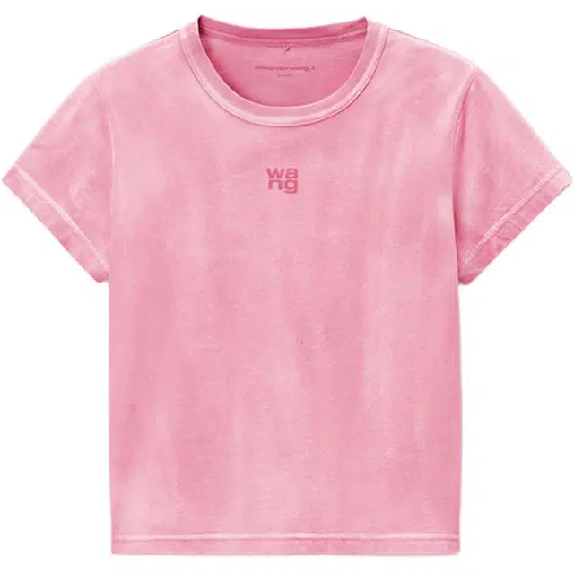 alexander wang T