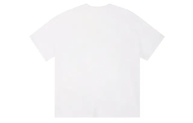 ICONS Lab ICS T