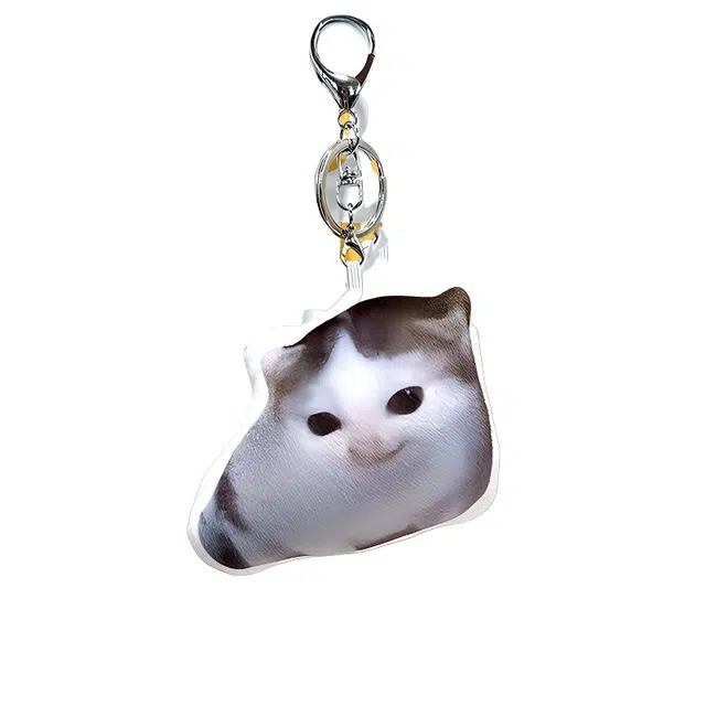 PP
