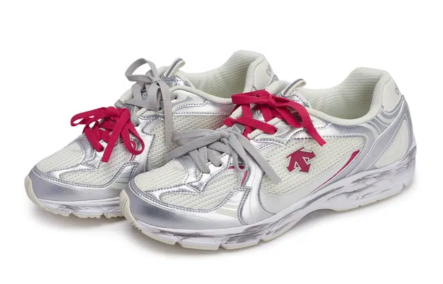 DESCENTE Cron Racer 811