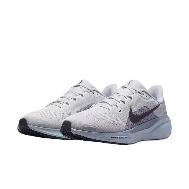 Nike Pegasus 41