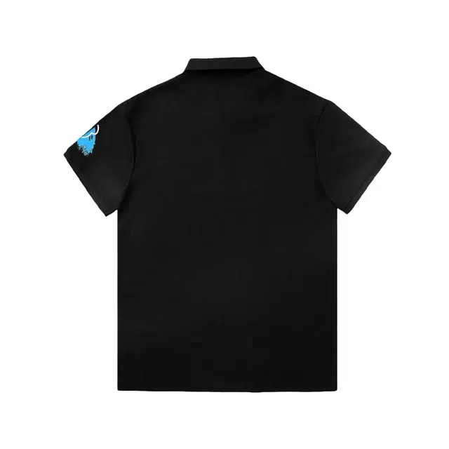 Arcteryx SKYLINE logo