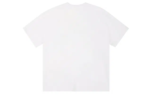 ICONS Lab T