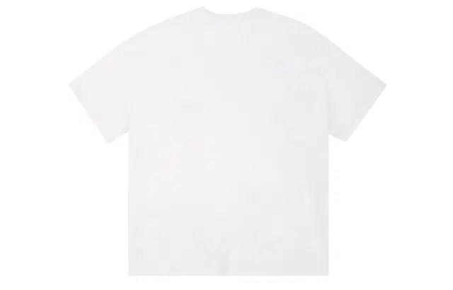 ICONS Lab T